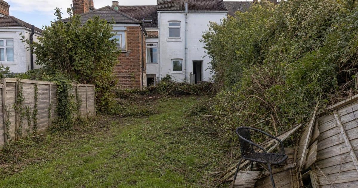 Garden Clearance in Southampton: What Can Be Taken Away?